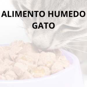 Alimentos Húmedos Gato