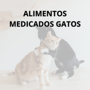 Alimentos Medicados Gato