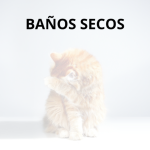 Baños Secos