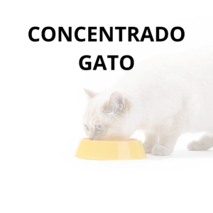 Concentrado Gatos