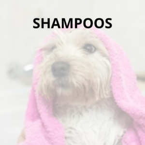 Shampoos, Jabones y Acondicionadores