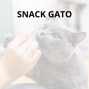 Snack Gato